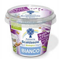 Yogurt Magro Senza Lattosio